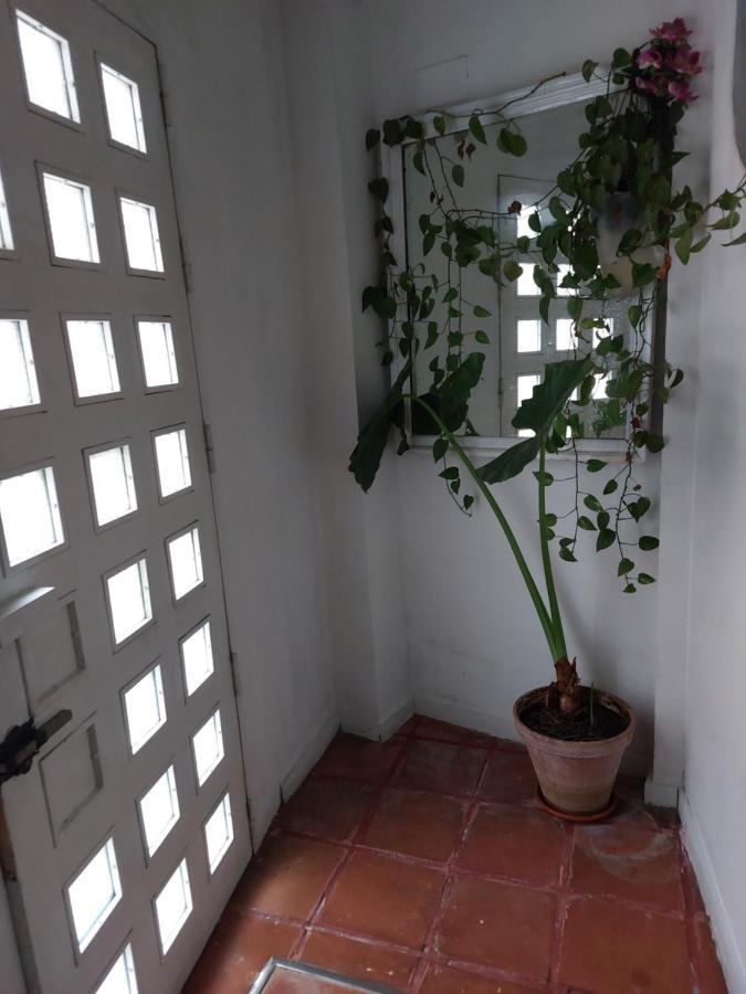 Apartamento Tipo Loth Alameda Sevilla Kültér fotó